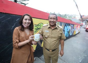 Wakil Wali Kota Bandung Kunjungi Lokasi Mural Cipaku Indah