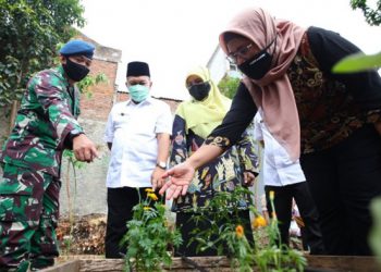 Laboratorium Terbuka di Cicendo Bandung Berasal dari Teras Hijau Project