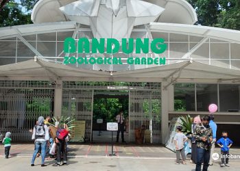 Libur Telah Tiba, Kebun Binatang Bandung Patok Target 6.000 Pengunjung