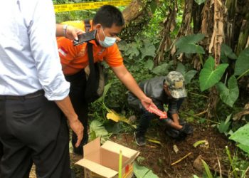 Geger, Polisi Ungkap Temuan Mayat Bayi dalam Gundukan Tanah