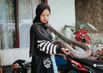 Aulia Khairunnisa, Mojang Bandung Si Penakluk King Kobra