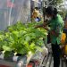 Buruan SAE Kota Bandung Sukses Curi Perhatian Dunia