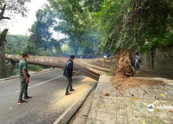 Tak Ada Hujan dan Angin, Pohon Tumbang di Jalan Tamansari