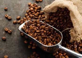 Kopi Mengandung Obat Kuat Beredar di Bandung, Dinkes Minta Warga Lebih Teliti