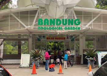 Long Weekend, Pengunjung Kebun Binatang Bandung Melonjak