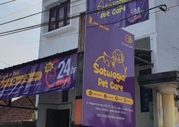 Private: Satwagia Pet Care, Klinik Hewan 24 Jam di Cimahi dan Terima House Call