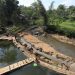 Hari Sungai Nasional: Wargi Bandung, Yuk Jaga Sungai dan Hemat Air!