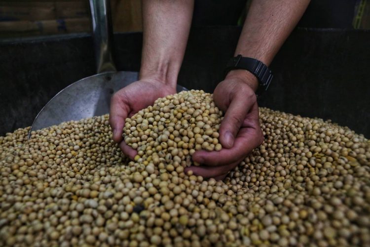 Stok Kacang Kedelai di Kota Bandung Aman Terkendali