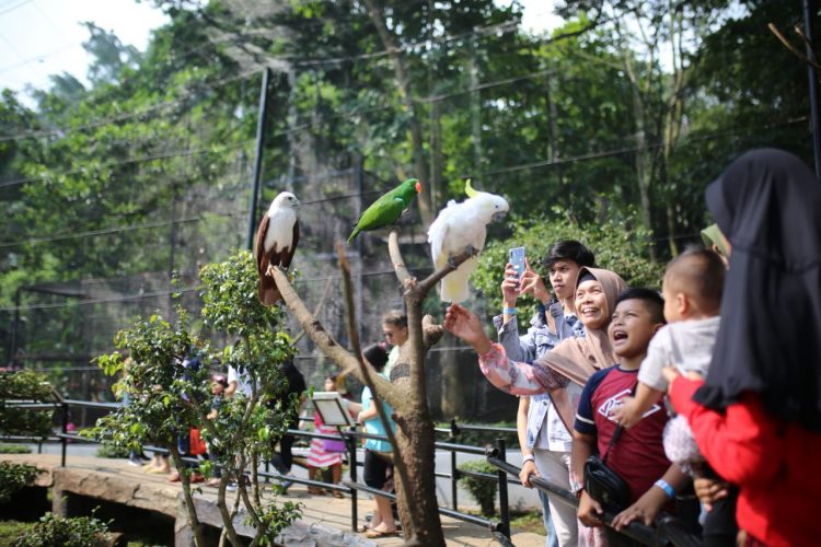 Tok! Pengadilan Putuskan Pemkot Bandung Pemilik Sah Lahan Kebun Binatang