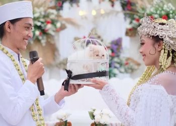 Viral Pengantin di Cimahi Maharnya Kucing