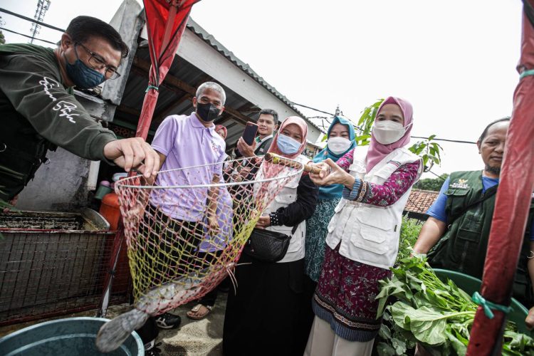 Cegah Stunting, TP PKK Kota Bandung Panen Raya Lele Budikdamber