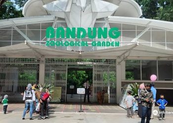 41 Orang Tertipu Lowker hingga Jutaan Rupiah, Oknum Bikin Surat Palsu Yayasan Kebun Binatang Bandung