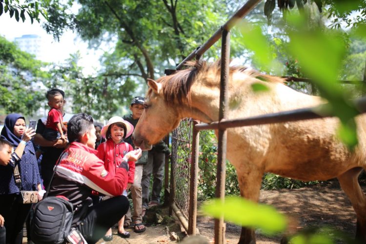 Pemkot Pastikan Lahan Kebun Binatang Bandung Tetap Jadi Lahan Konservasi