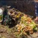 Pengangkutan Sampah Masih Terbatas, Yuk Lakukan Langkah Ini!