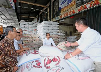 Jokowi Pastikan Harga Beras Turun 2 Minggu ke Depan