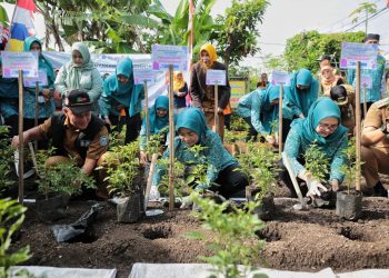 Pangan Kuat Inflasi Terkendali, Pemkot Bandung dan TP PKK Tanam 15.000 Bibit Cabai