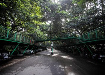 Forest Walk Babakan Siliwangi, Menikmati Suasana Segar Hutan di Jantung Kota Bandung