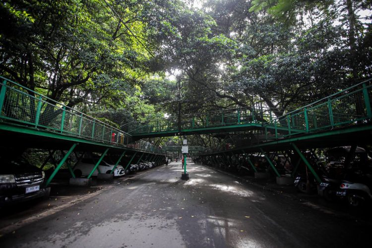 Forest Walk Babakan Siliwangi, Menikmati Suasana Segar Hutan di Jantung Kota Bandung