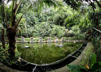 Jejak Sejarah Babakan Siliwangi, Ruang Hijau yang Berharga di Tengah Kota Bandung