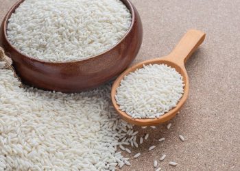 Pemerintah Minta Masyarakat Indonesia Jangan Boros Makan Nasi demi Stop Impor Beras