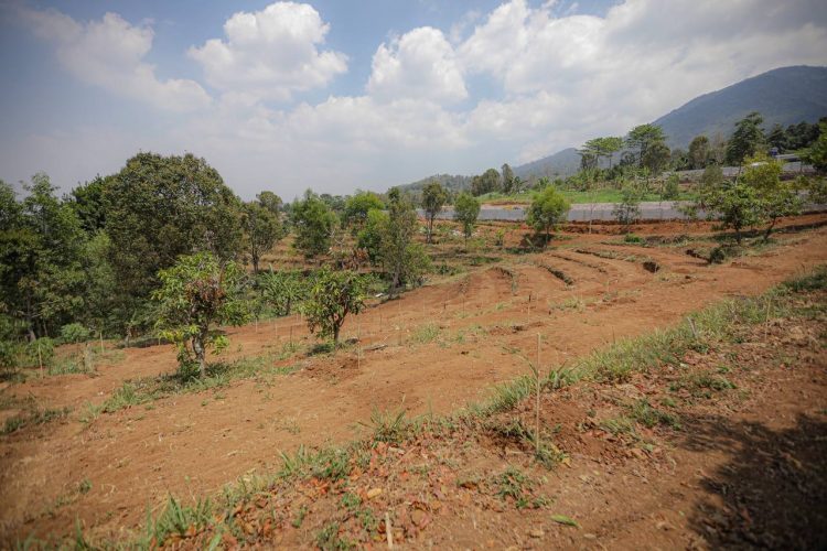 Perizinan Bangunan di Kawasan Bandung Utara, Pemkot Bandung Minta Diperketat