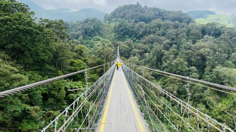 Rekomendasi Wisata Liburan Akhir Tahun di Ciwidey Bandung