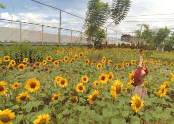 Rekomendasi Beberapa Lokasi Foto Estetik dan Gratis di Bandung!