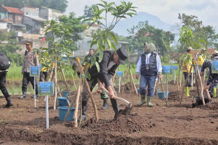 Hijaukan Bandung Utara, Pemkot Tanam Ribuan Bibit di Ujungberung