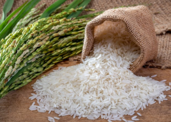 Pengaruh Kebijakan Stop Impor Beras Indonesia Terhadap Penurunan Harga Beras Dunia