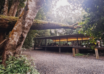 Rekomendasi Tempat Ngopi Bertema Alam Terbuka di Bandung