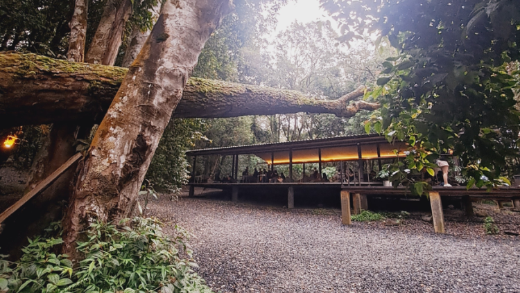 Rekomendasi Tempat Ngopi Bertema Alam Terbuka di Bandung