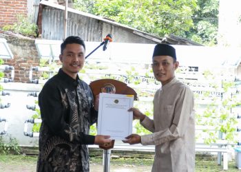 Potensi Besar Wakaf di Bandung, Program Wakaf Hijau Didorong untuk Optimalisasi