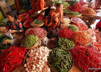 Harga Pangan Naik: Beras, Cabai, dan Minyak Goreng Ikut Meroket
