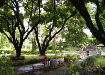 Ruang Hijau Kota Bandung Kian Tertata, Sinergi Semua Pihak Diperlukan