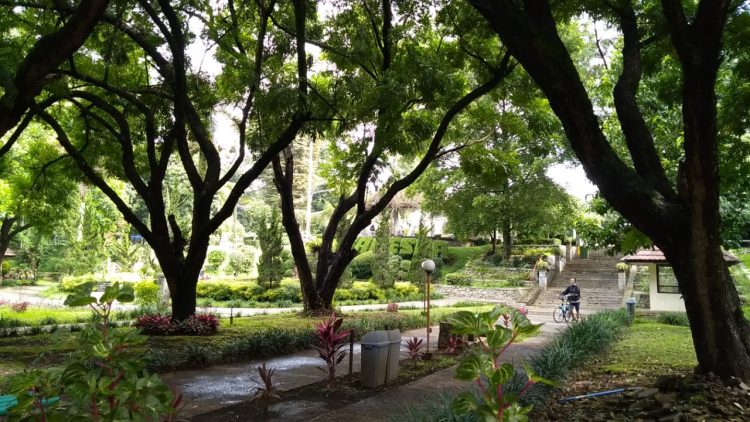 Ruang Hijau Kota Bandung Kian Tertata, Sinergi Semua Pihak Diperlukan