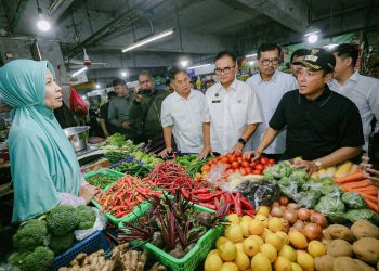 Harga Pangan Jelang Ramadan Dipantau, Upaya Stabilitas Terus Dilakukan