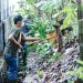 Hujan Setiap Hari, Farhan Minta ASN Siaga Cek Drainase di Seluruh Kota Bandung