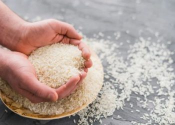 Diduga Oplosan, 26 Merek Beras Premium Ternyata Tak Sesuai Mutu! Ini Daftarnya