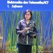 Gaji Guru dan Dosen Masih Rendah, Sri Mulyani Singgung Peran Masyarakat
