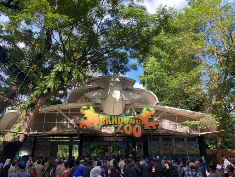 Masa Transisi Bandung Zoo: Gaji Karyawan Dijamin, 711 Satwa Diawasi Negara, Pengelola Baru Disiapkan