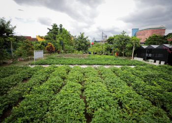 Lahan Warga di Batununggal Berpotensi Jadi Kebun Kota Produktif dan Ruang Terbuka Hijau