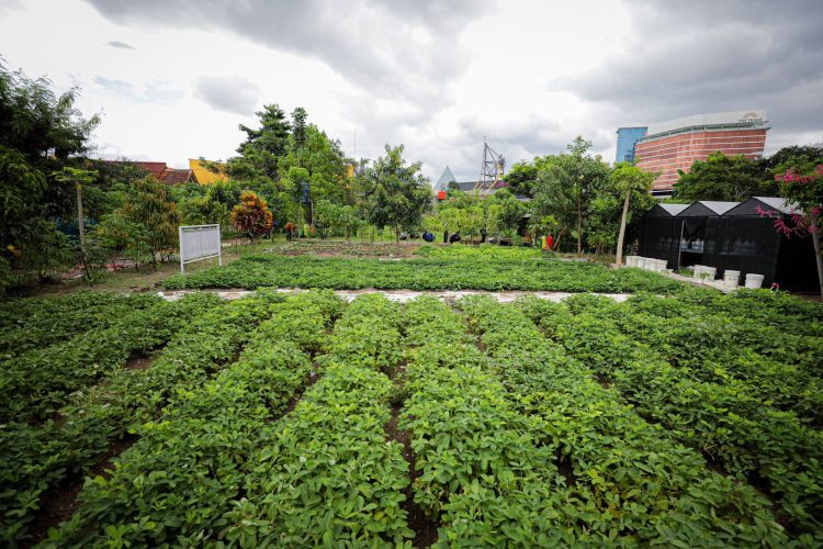Lahan Warga di Batununggal Berpotensi Jadi Kebun Kota Produktif dan Ruang Terbuka Hijau