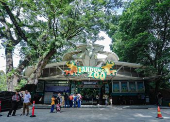 Bandung Zoo Segera Dibuka Kembali, Pengelola Baru Siapkan Revitalisasi dan Penguatan Konservasi