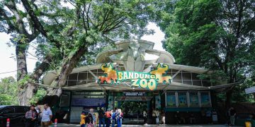 Bandung Zoo Segera Dibuka Kembali, Pengelola Baru Siapkan Revitalisasi dan Penguatan Konservasi