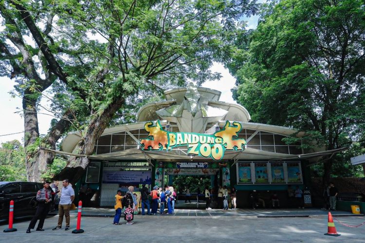 Bandung Zoo Segera Dibuka Kembali, Pengelola Baru Siapkan Revitalisasi dan Penguatan Konservasi