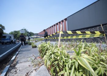 10 Pohon di Jalan Riau Bandung Ditebang, Wali Kota Bakal Bawa Kasus Ini ke Meja Hijau