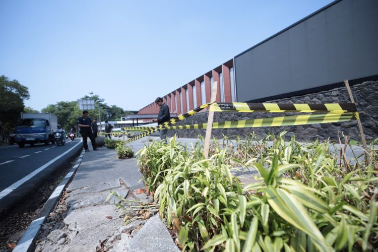 10 Pohon di Jalan Riau Bandung Ditebang, Wali Kota Bakal Bawa Kasus Ini ke Meja Hijau