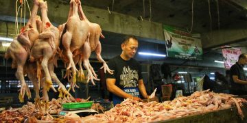 Harga Ayam dan Timun Naik di Bandung, Pemkot Pastikan Pasokan Pangan Tetap Aman