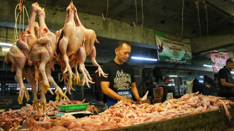 Harga Ayam dan Timun Naik di Bandung, Pemkot Pastikan Pasokan Pangan Tetap Aman