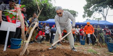 Pohon Jalan R.E. Martadinata Segera Ditanam Kembali dan Pemkot Selidiki Kasus Pengulitan